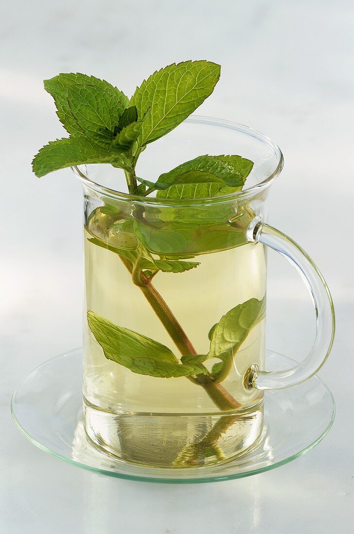 Peppermint tea in glass cup with sprig of fresh mint