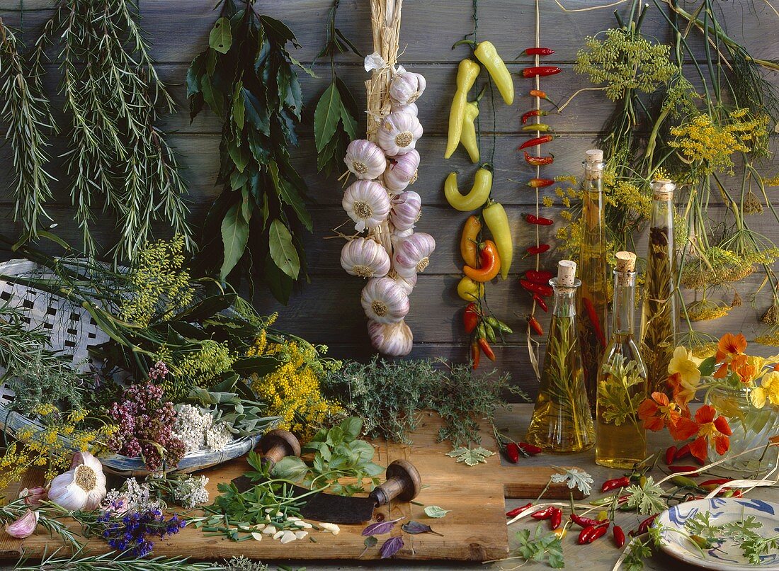 Still life with various herbs, spices and spiced oils