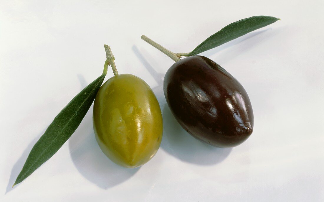 Eine schwarze und eine grüne Olive mit Blatt