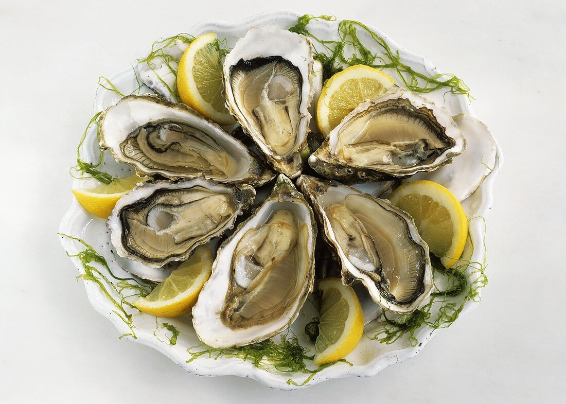 Six oysters on plate