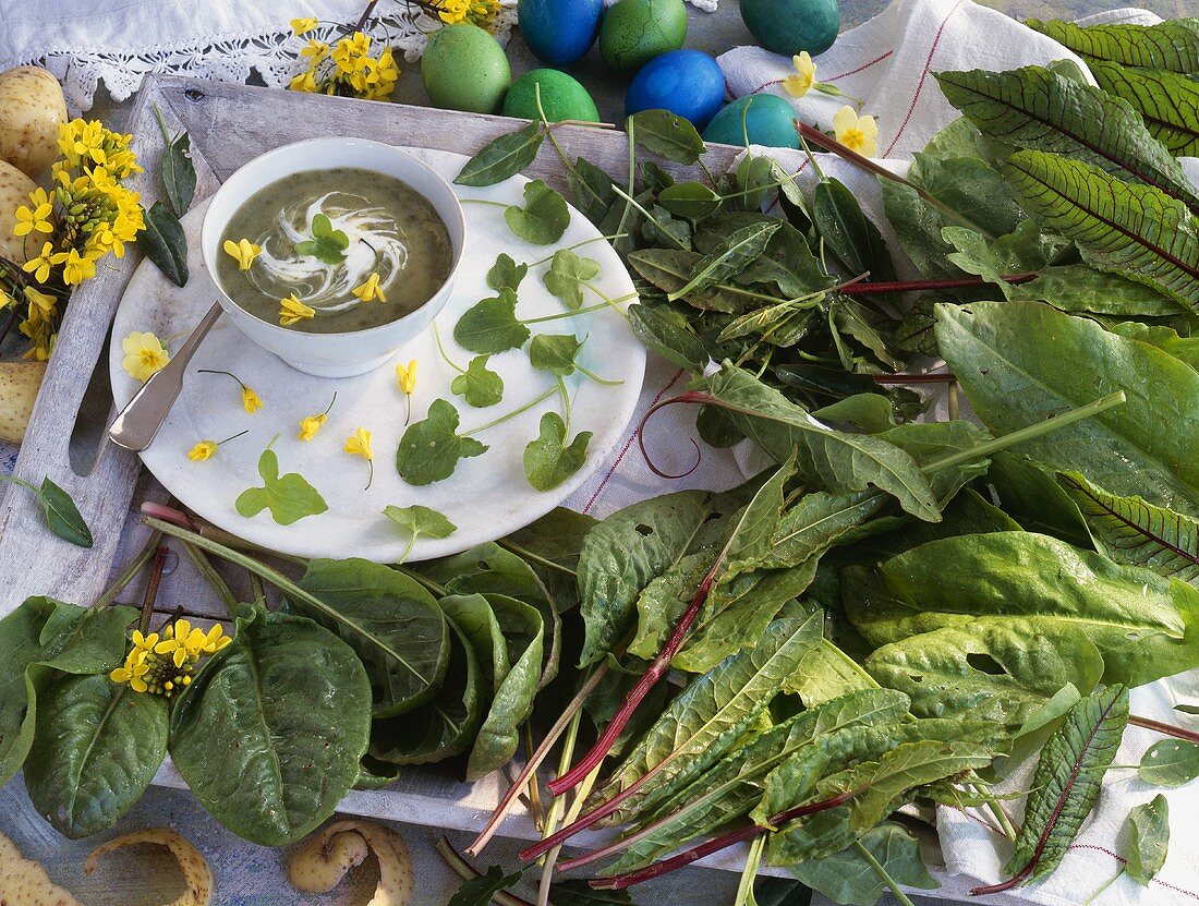 Sauerampfersuppe mit verschiedenen Sorten Sauerampfer