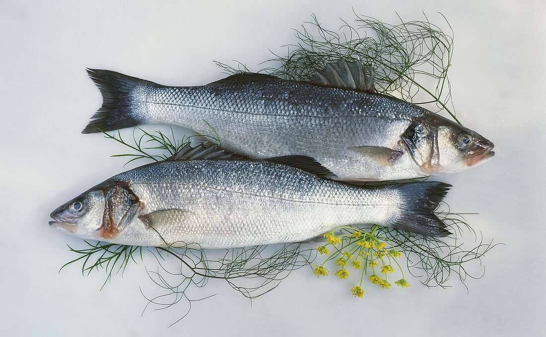 Two sea bass on dill
