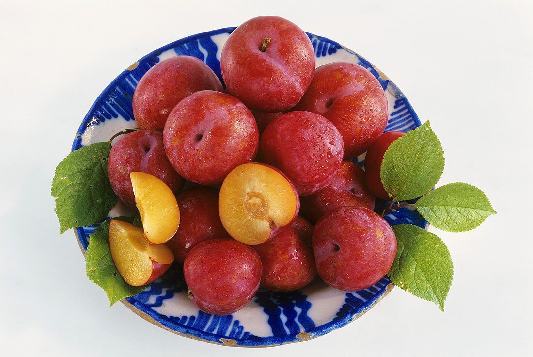 A plate of plums (variety: Pioneer, Spain)