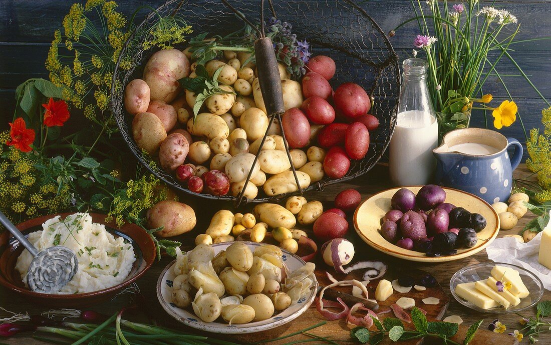 Mehrere Kartoffelsorten mit Kartoffelpüree, Pellkartoffeln