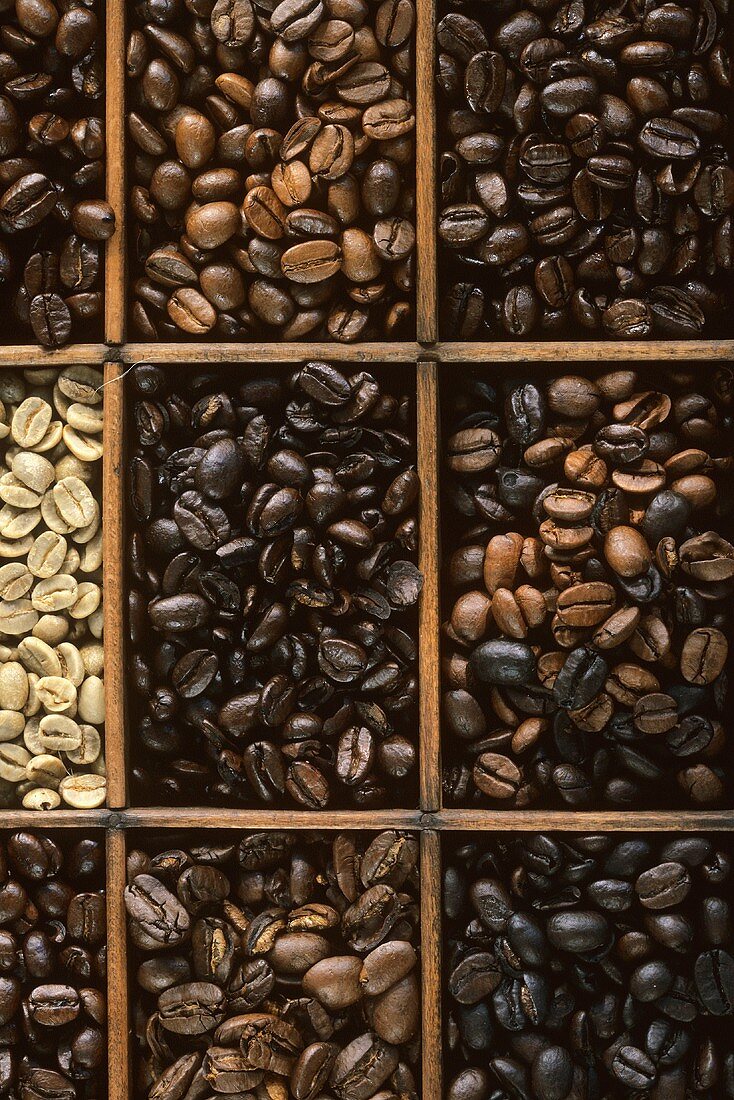 Various coffee mixtures in a type case