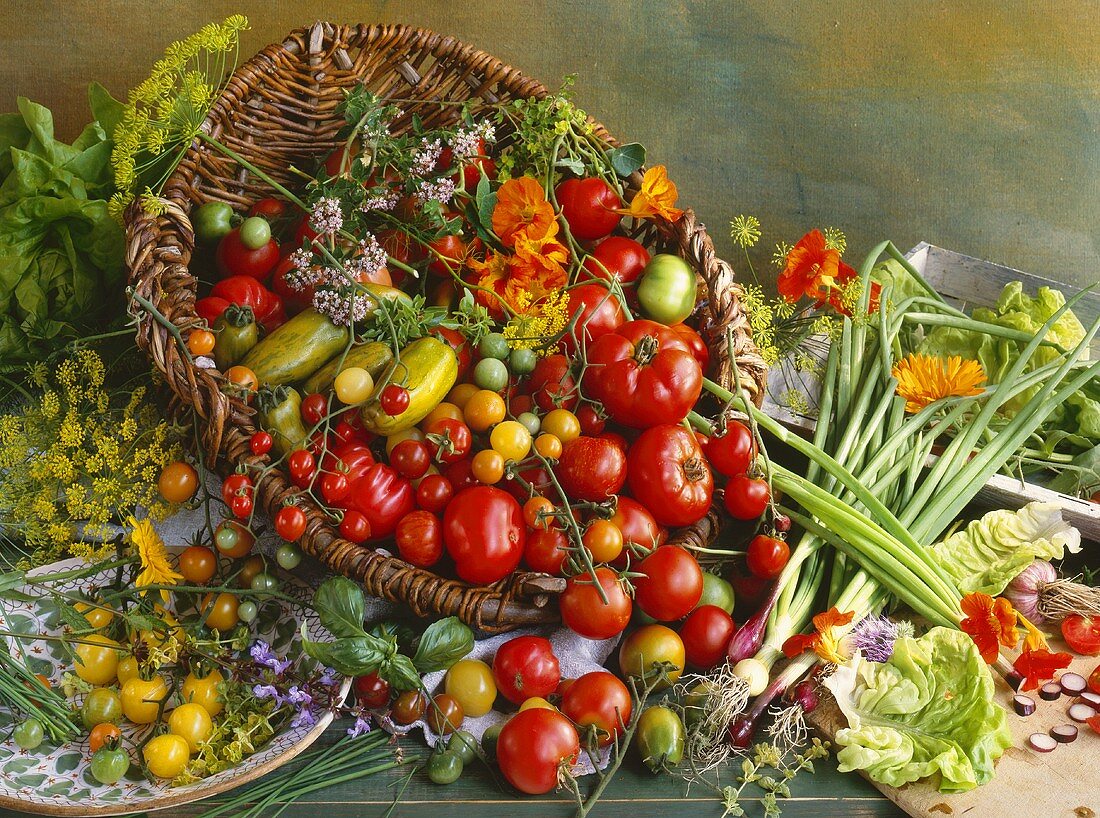 Vegetable still life with various tomatoes