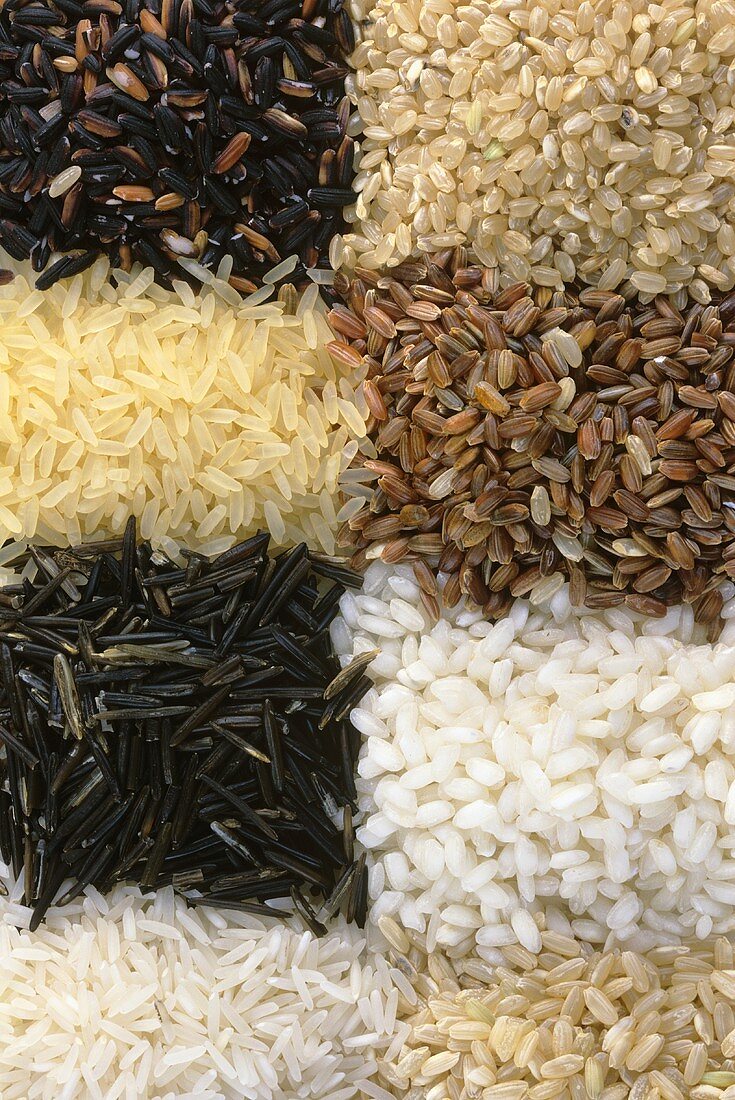 Eight different sorts of rice
