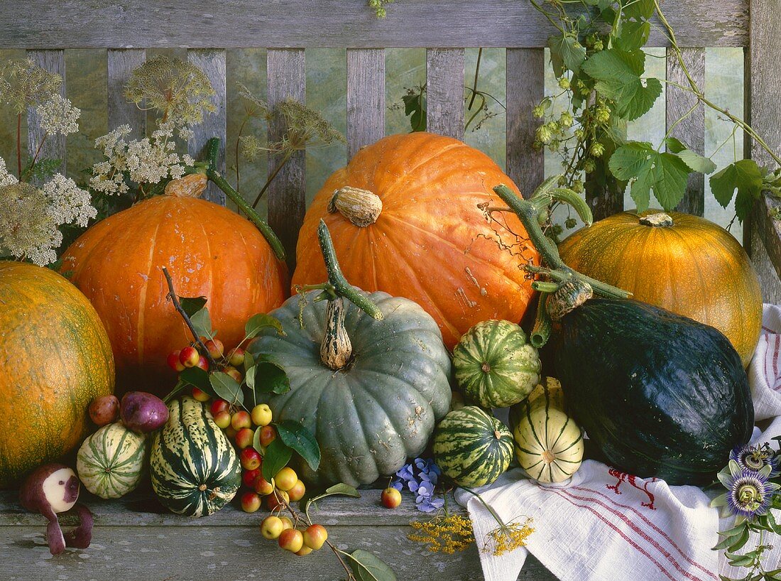 Still life with pumpkins on a wooden bench