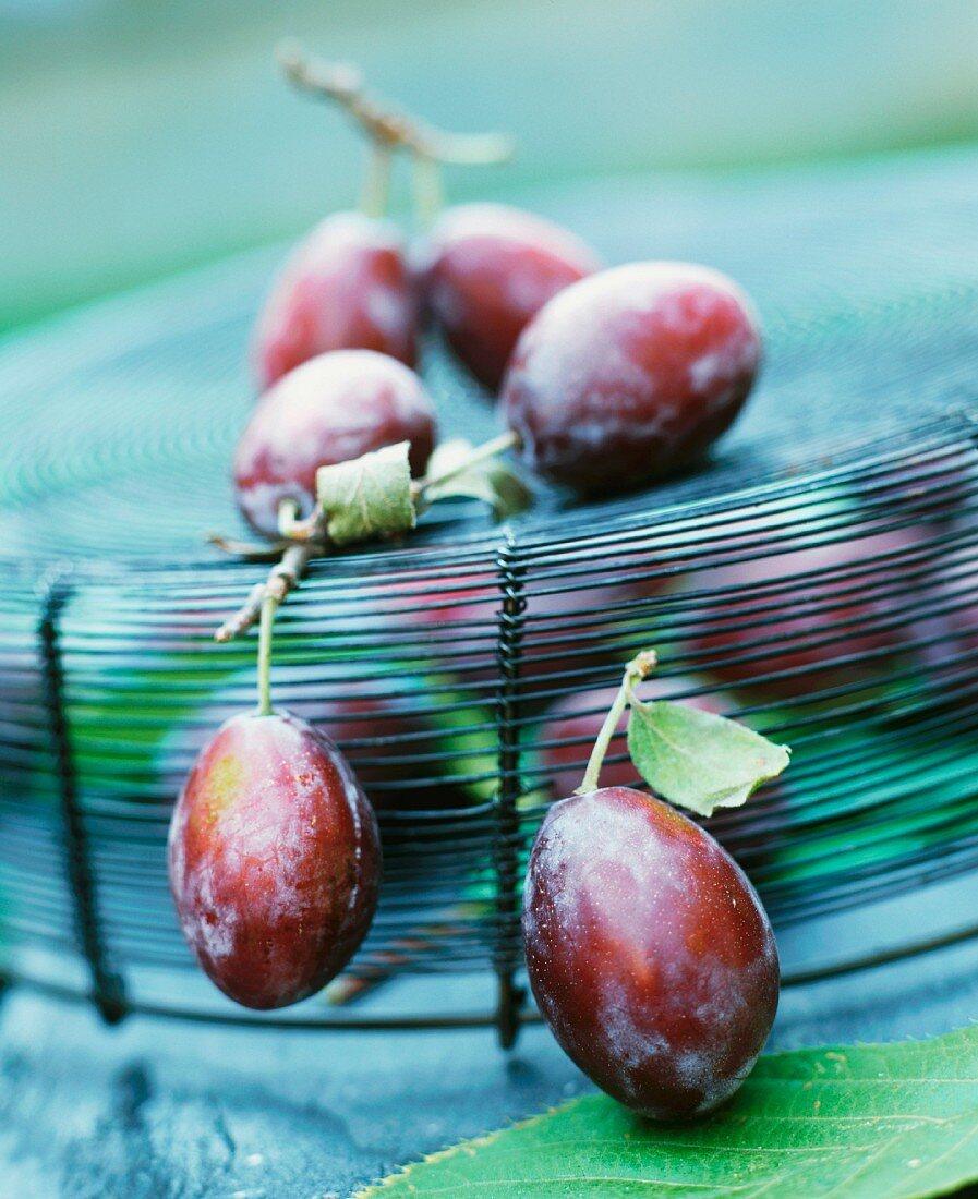 Fresh plums