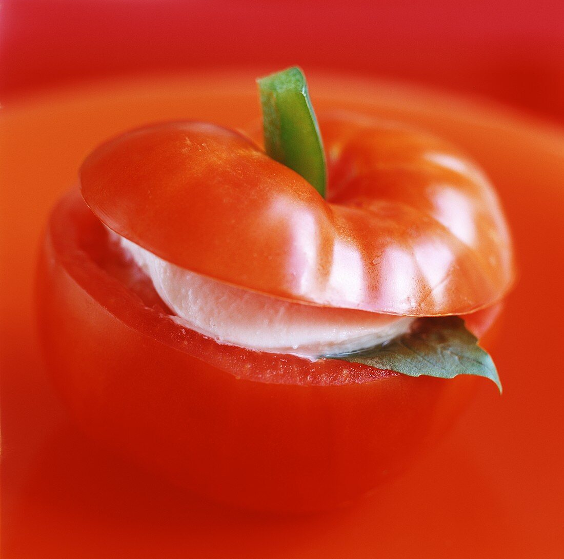 Eine gefüllte Tomate mit Mozzarella und Basilikum