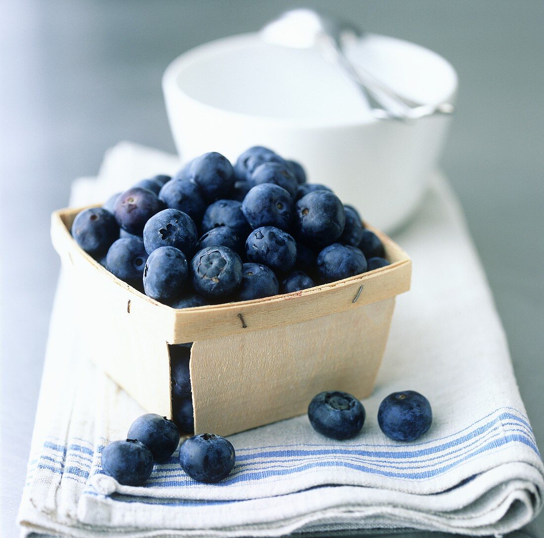 Körbchen mit frischen Heidelbeeren