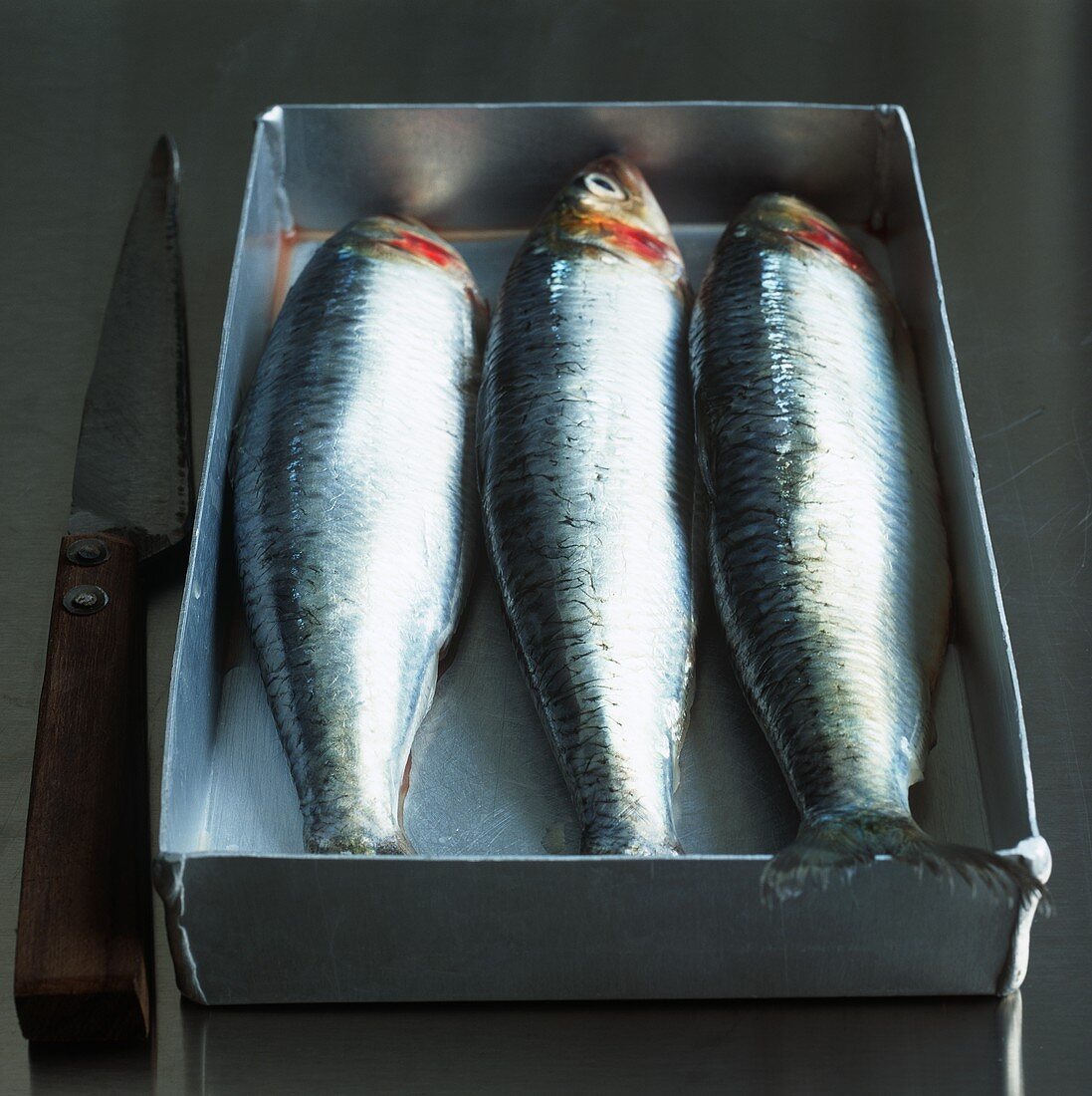 Three sardines on a baking tray with knife