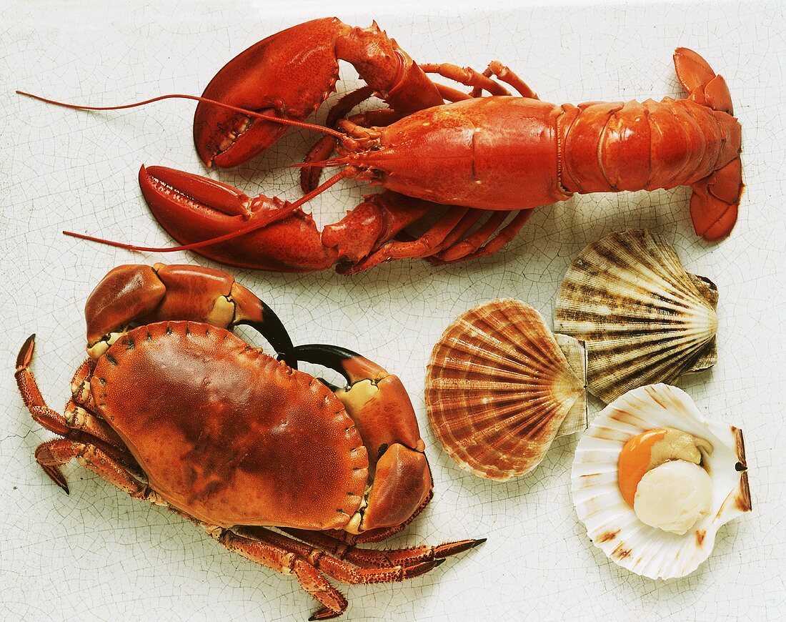 Crab, lobster and scallops