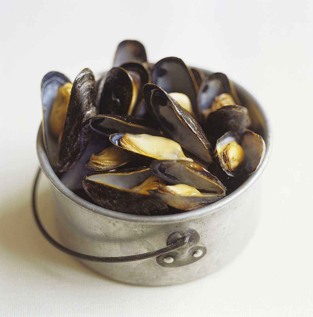 Mussels in a bucket