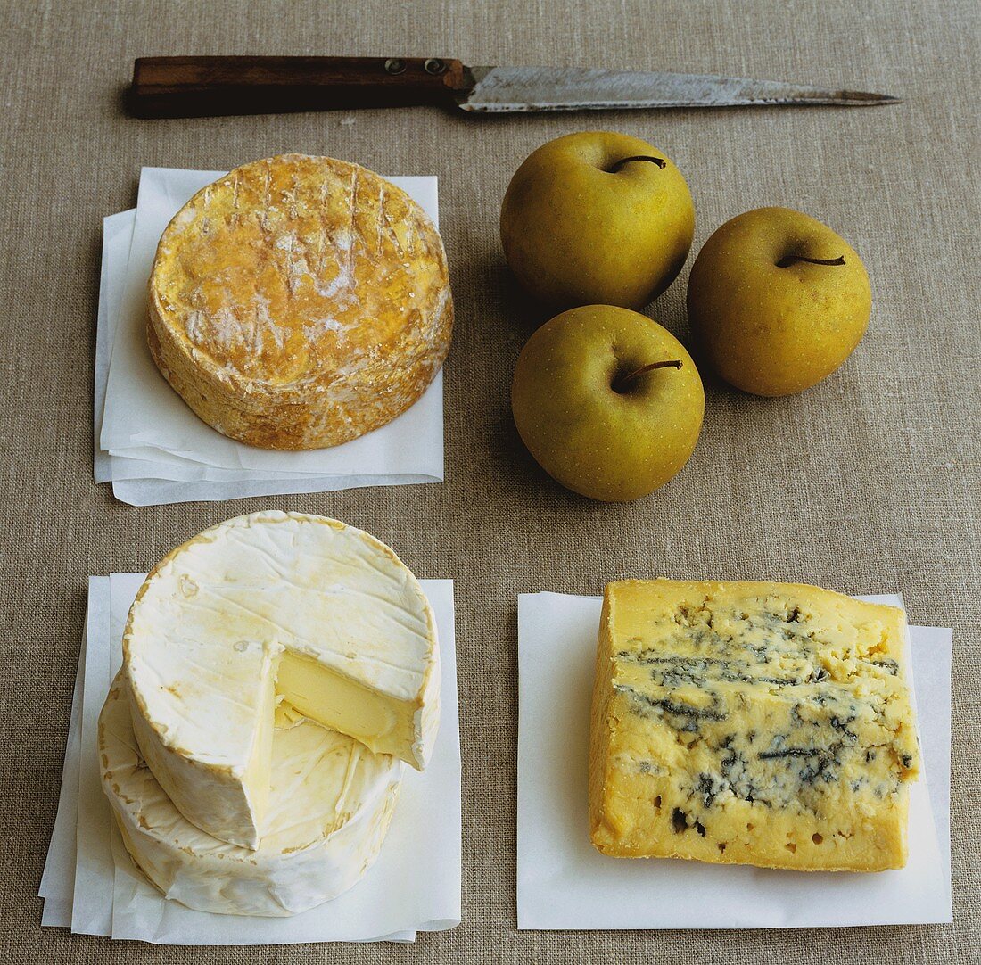 Drei französische Käse auf Papier mit Äpfeln