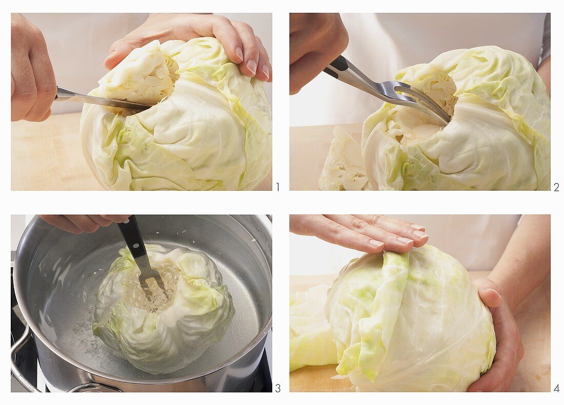 White cabbage being prepared for cabbage roulade