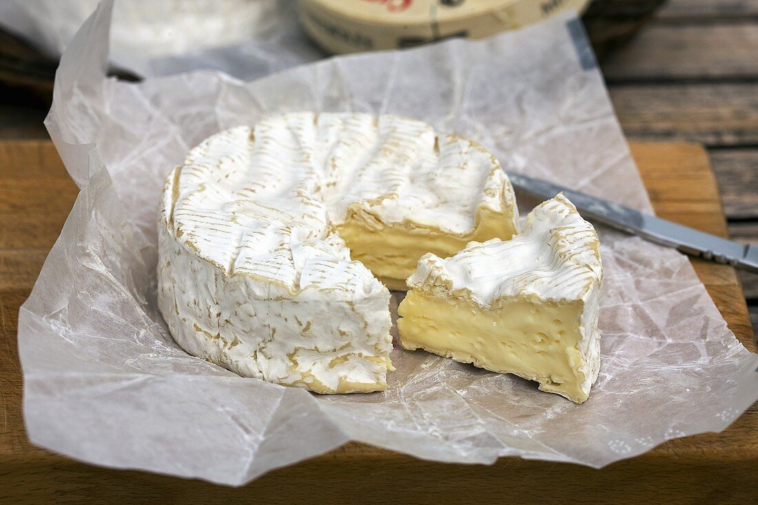 Camembert from Normandy (France)
