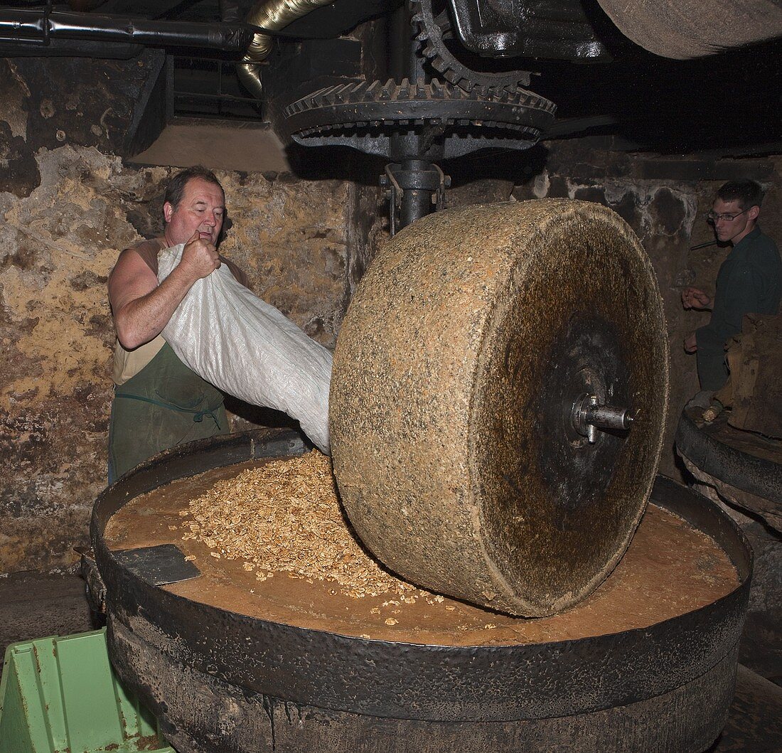 Arbeiter presst Nüsse mit Mahlstein zu Öl (Wassermühle Moulin de la Tour, Frankreich)