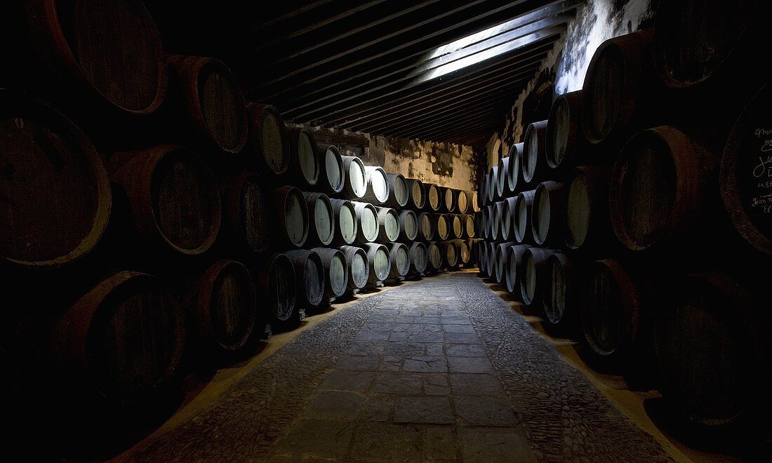 The wine cellar in Bodega Terry in Jerez de la Frontera, Spain