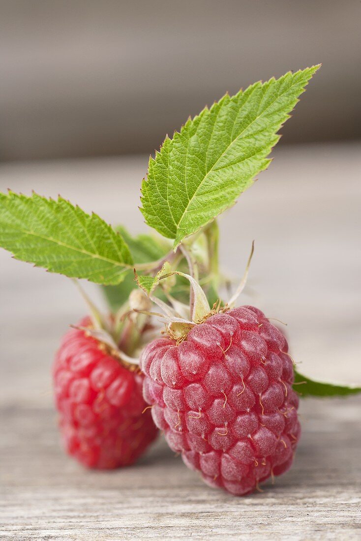 Himbeeren mit Blättern