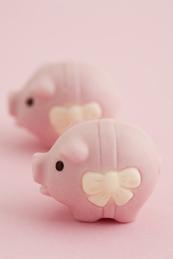 Zwei rosa Glücksschweine