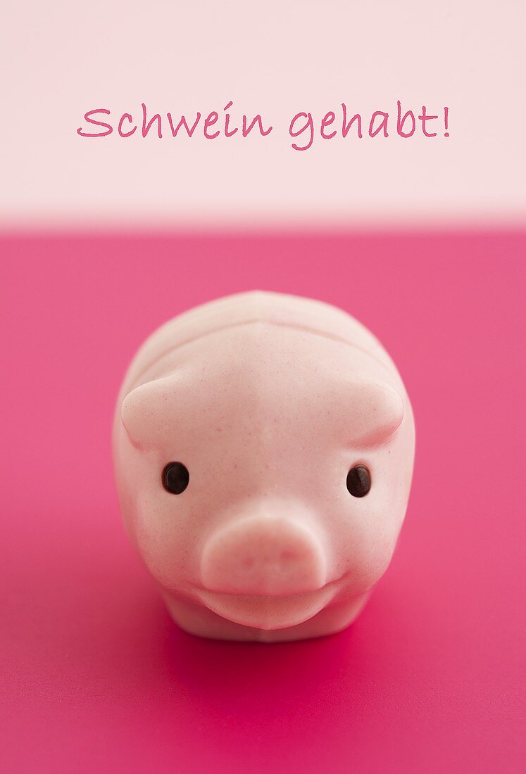 A lucky pink pig and the words 'Schwein gehabt'