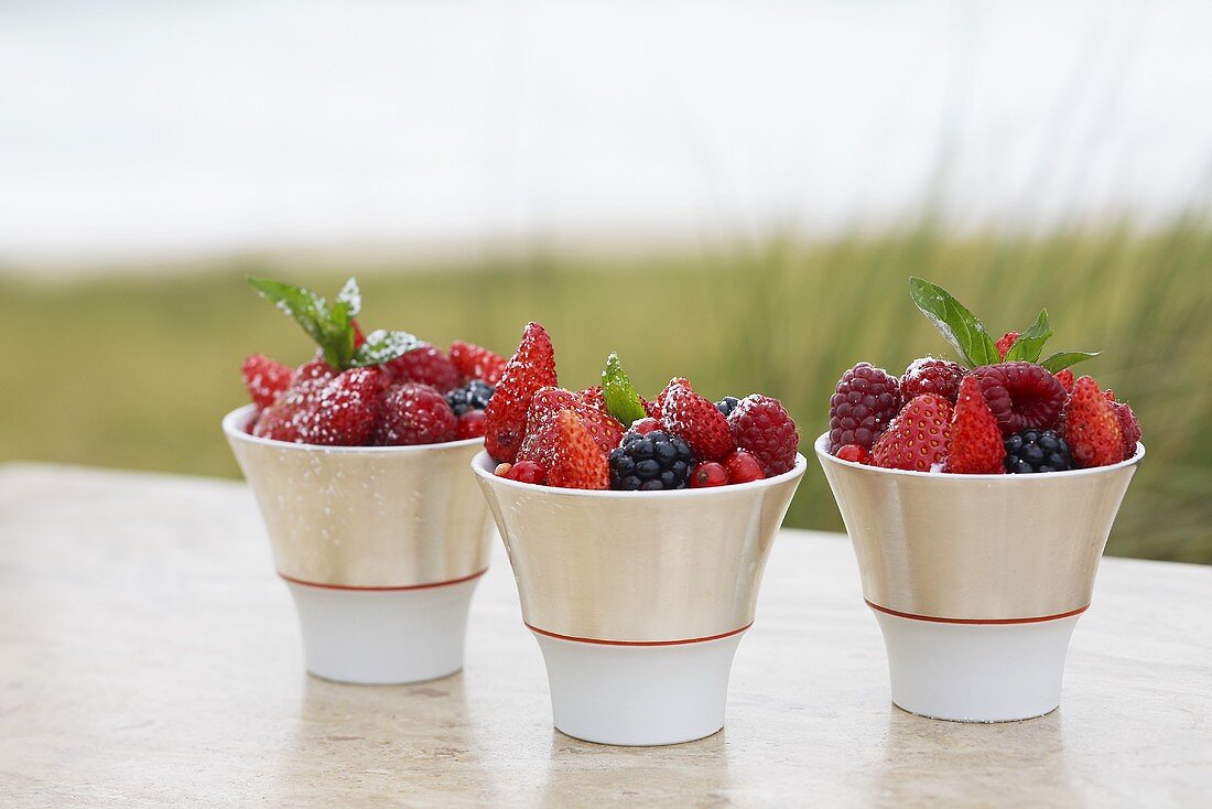 Pots of forest fruits with sparkling Riesling wine