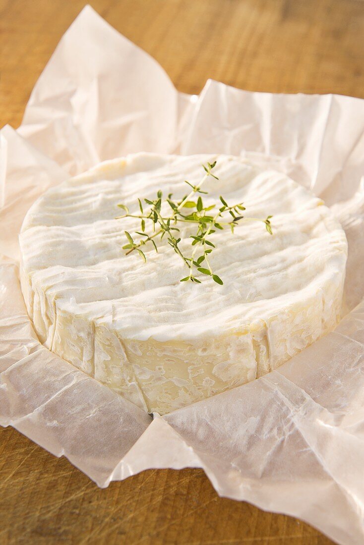 Camembert mit Thymian auf Papier