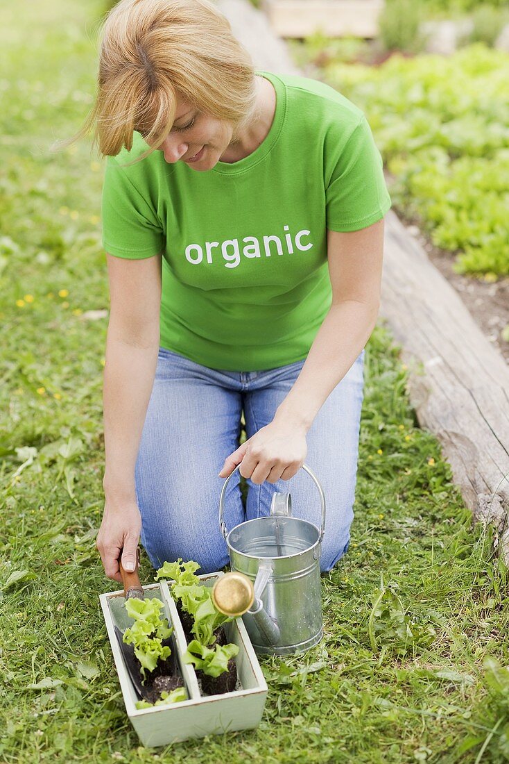 A woman kneeling in a vegetable patch with lettuce plants and a watering can