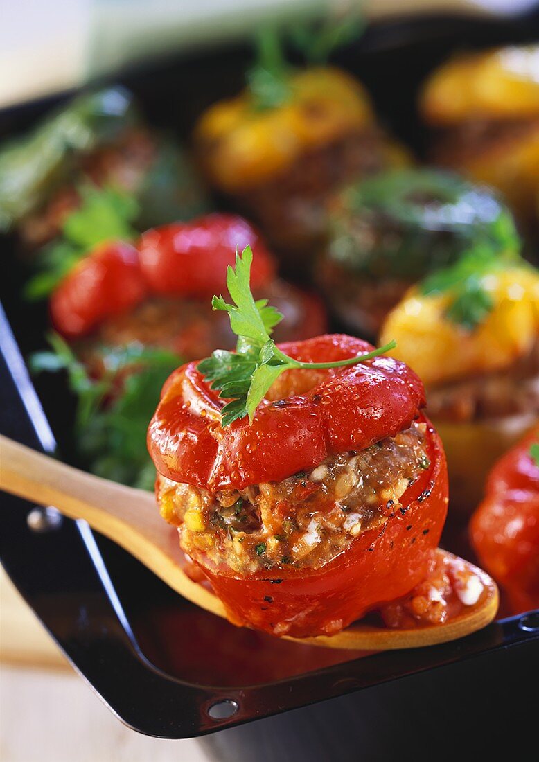 Peppers with mince stuffing in tomato sauce