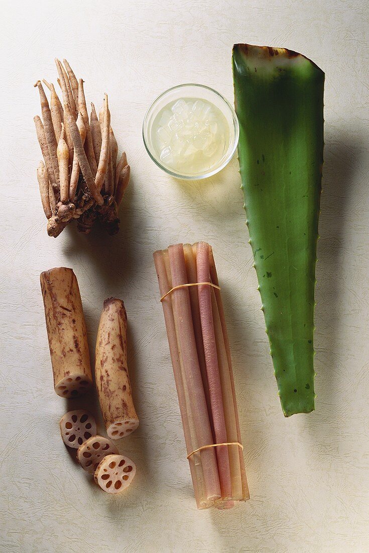 Aloe vera, krachai, lotus root and lotus stem