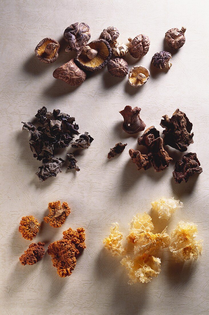 Various dried Chinese mushrooms