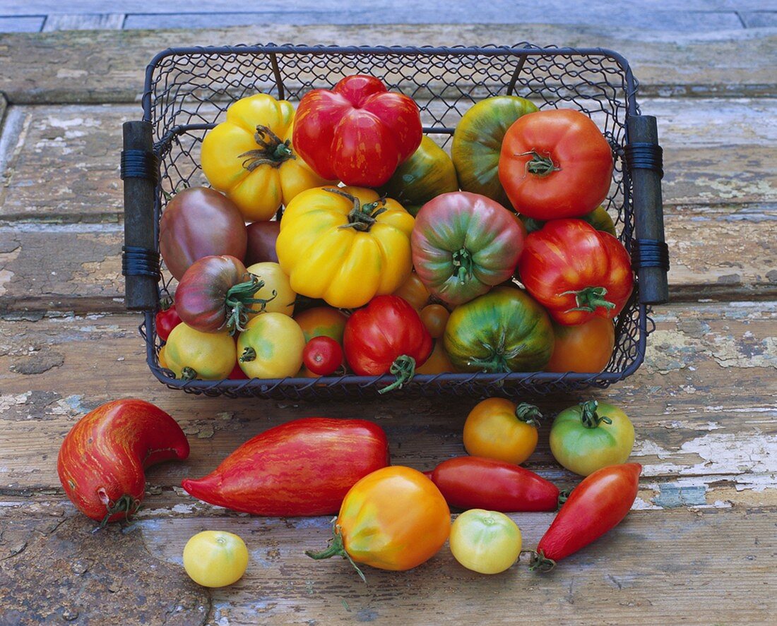 Various types of tomatoes in a basket