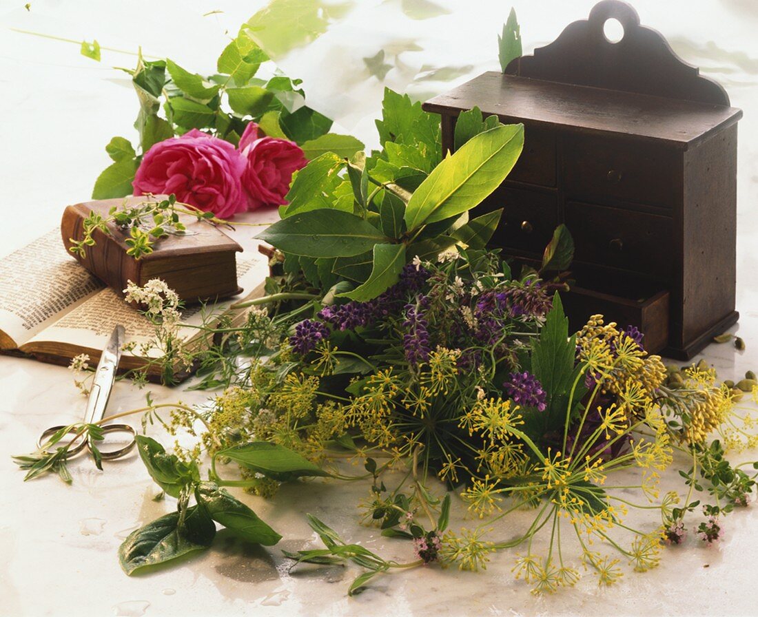 Freshly picked culinary herbs and roses