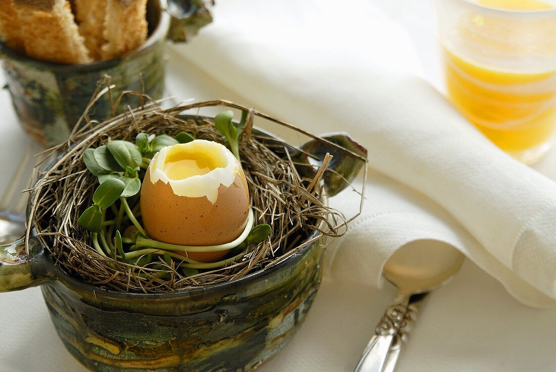 Ein gekochtes Ei im Nest