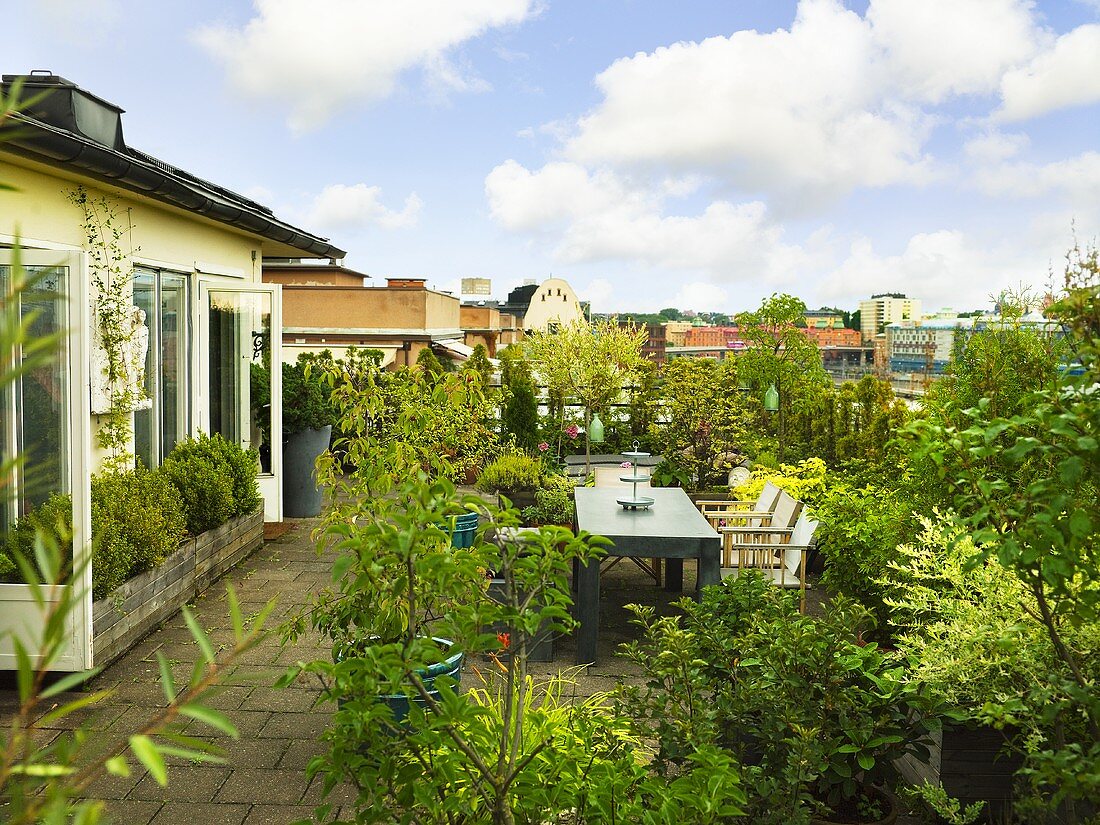 Üppig bepflanzte Dachterrasse mit Tisch & Stühlen