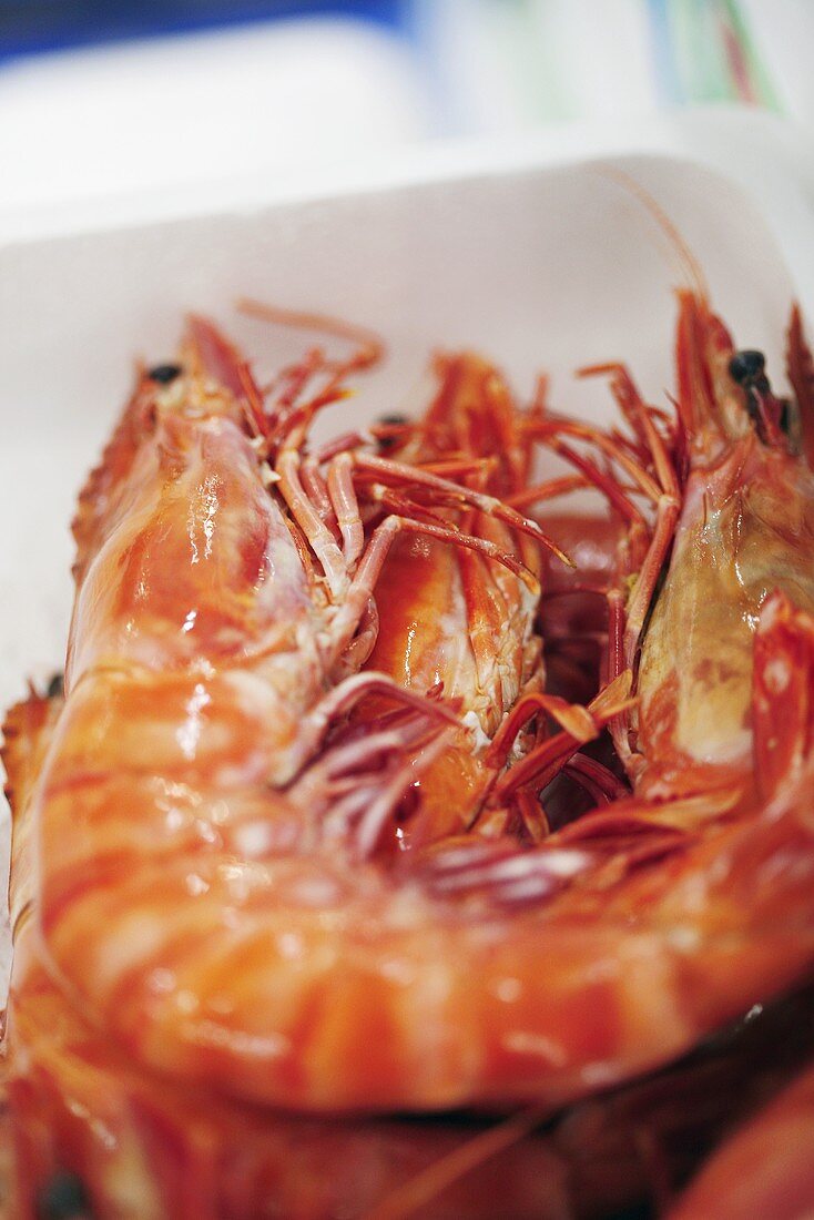 Prawns in polystyrene container