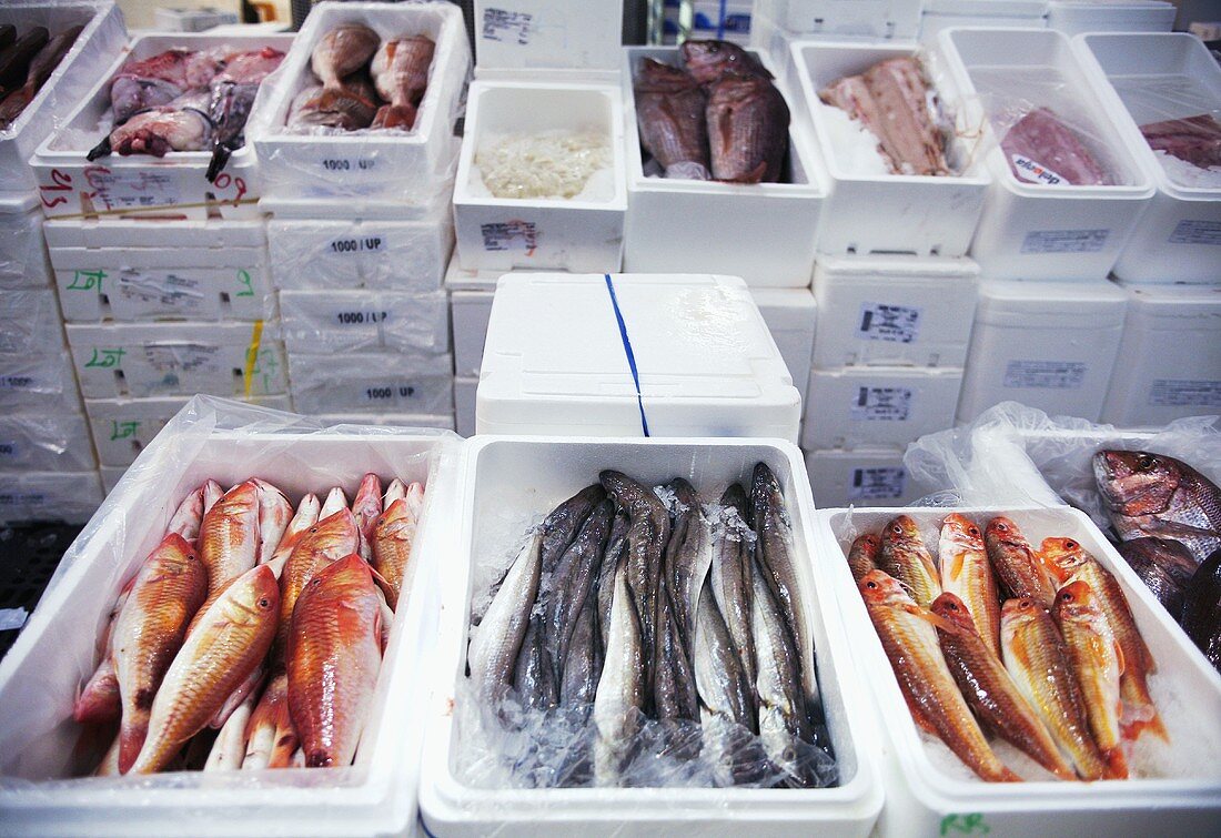 Frische Fische in Styroporbehältern auf dem Markt