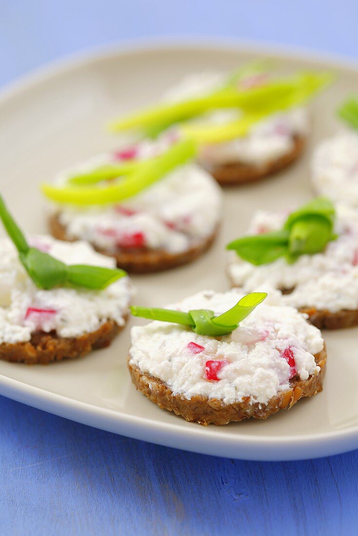 Canapes with cottage cheese, radishes and onion greens