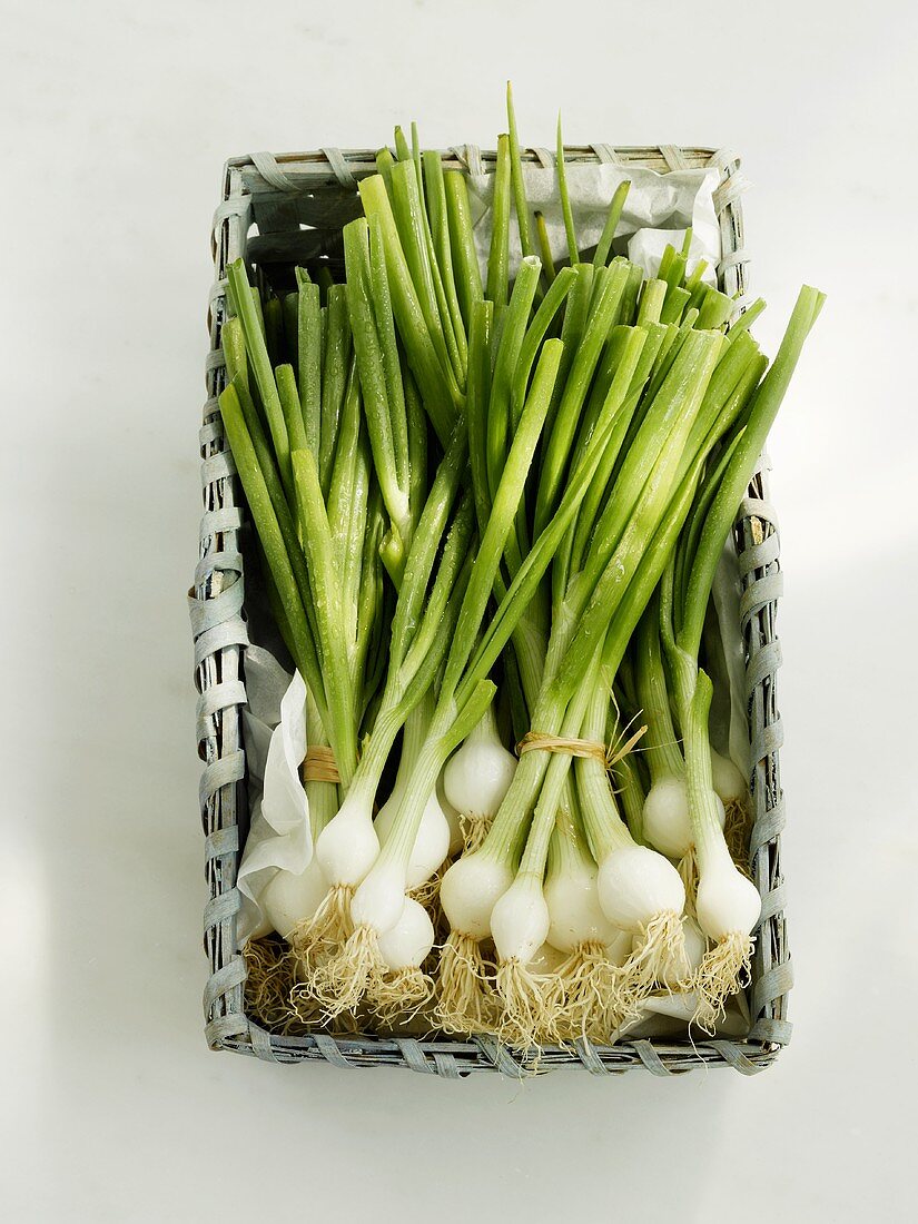 Small basket of spring onions