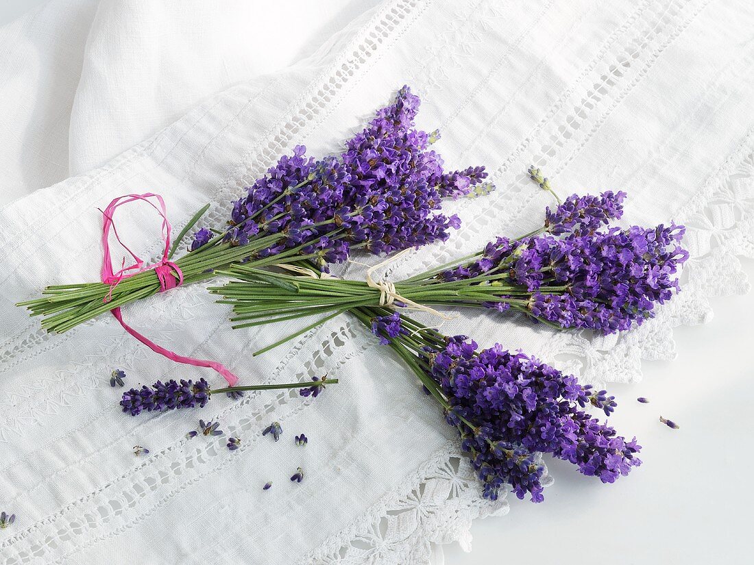 Three bunches of fresh lavender on a linen cloth