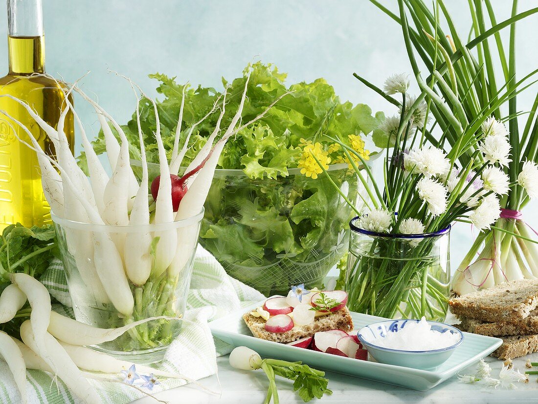 Frühlingsstillleben mit Rettich, Kräutern, Salat