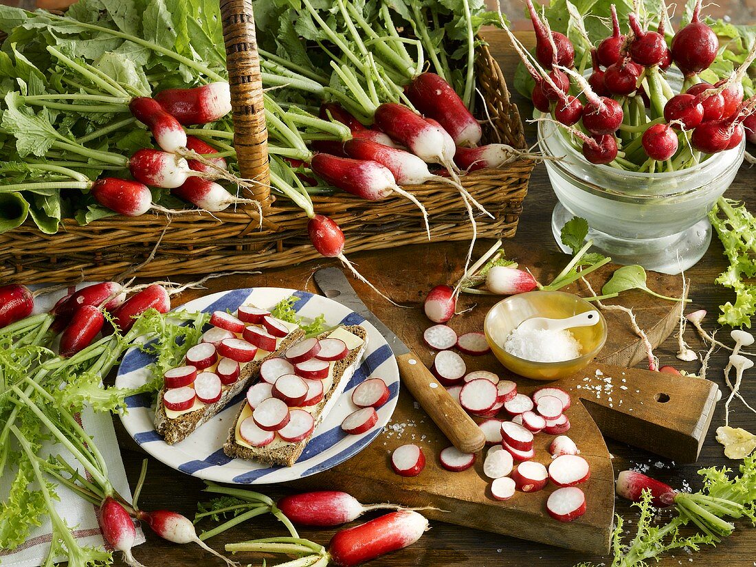 Radish open sandwiches and fresh radishes