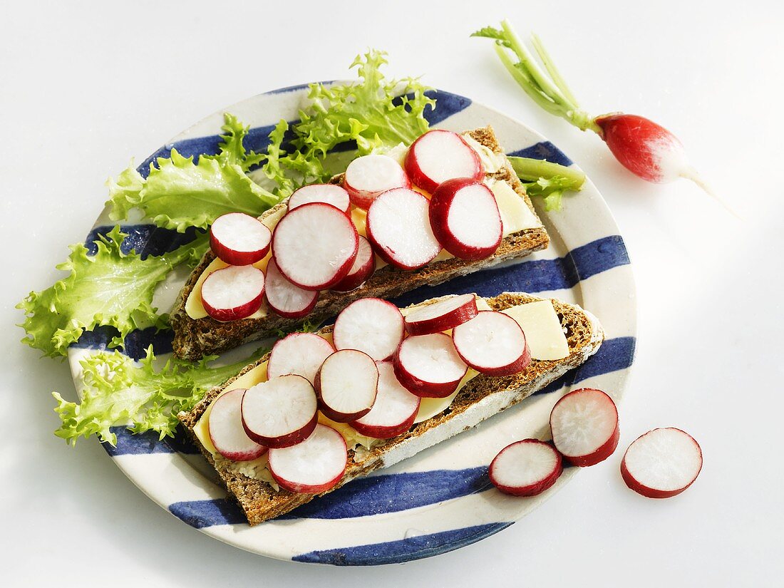 Two radish open sandwiches