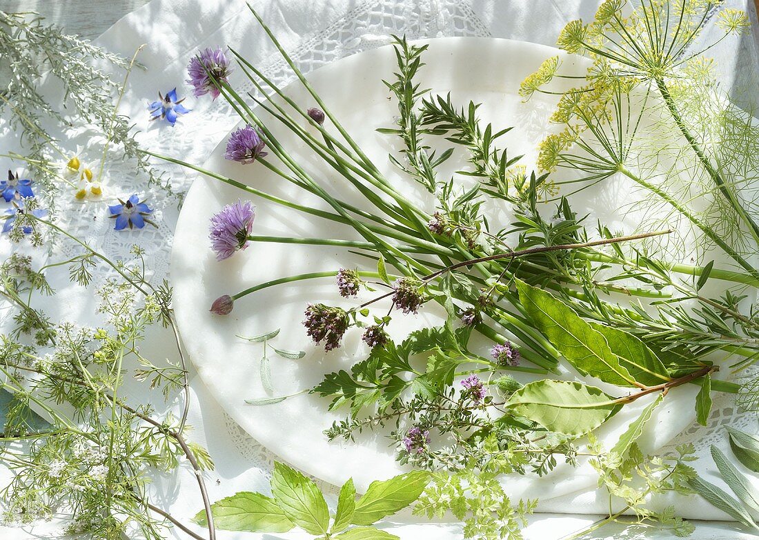 Herb still life