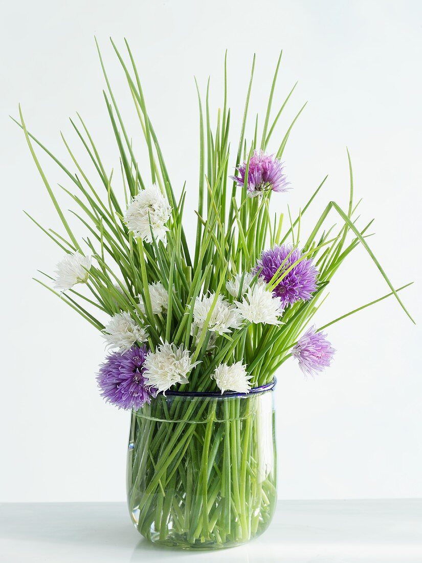 Chives with purple and white flowers in a glass