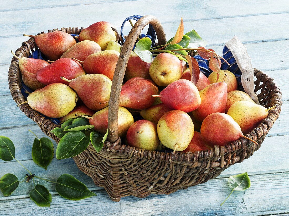A basket of Forelle pears