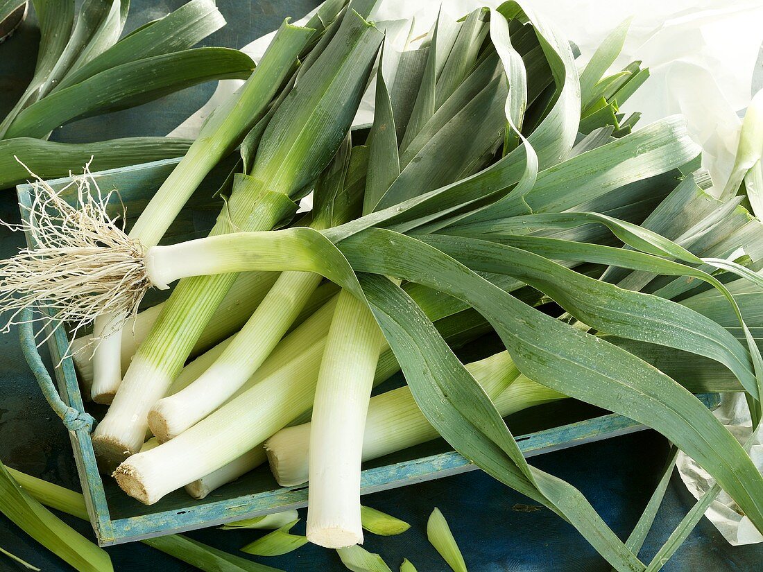 Leeks in a wooden box