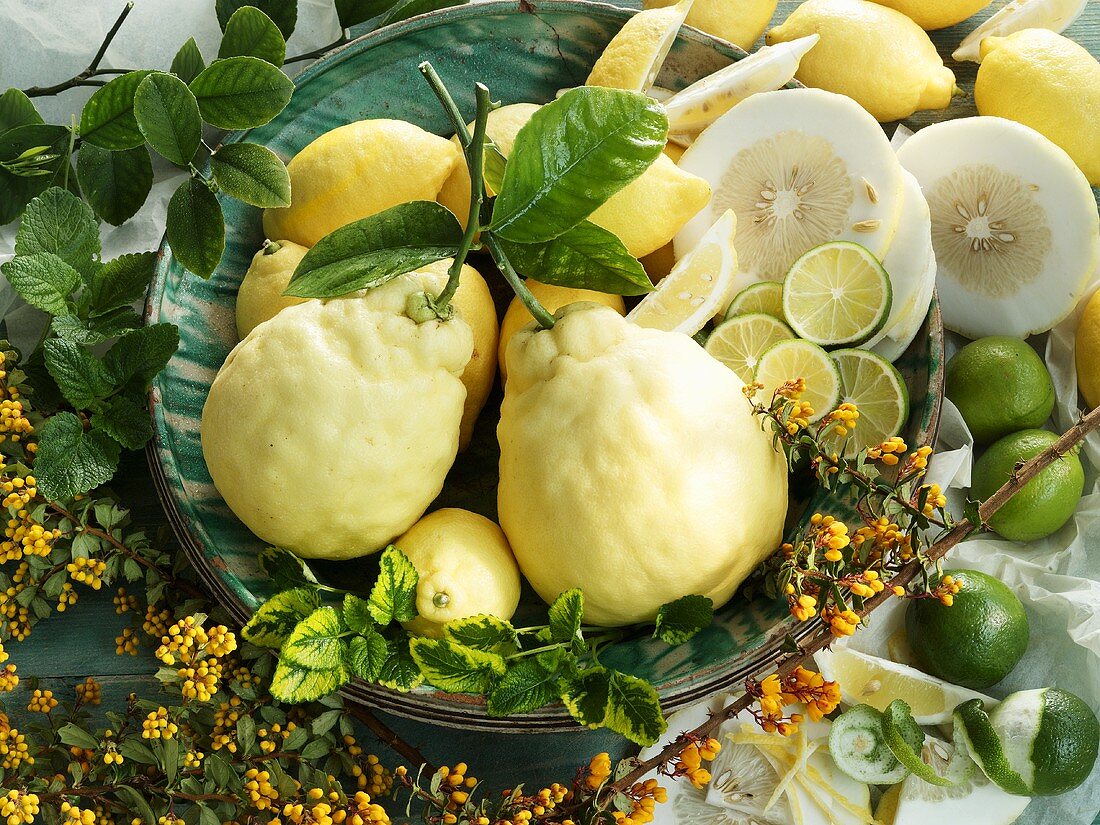 Still life with lemons and limes