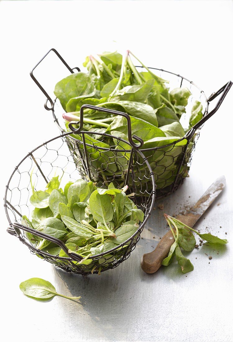 Fresh spinach in wire baskets